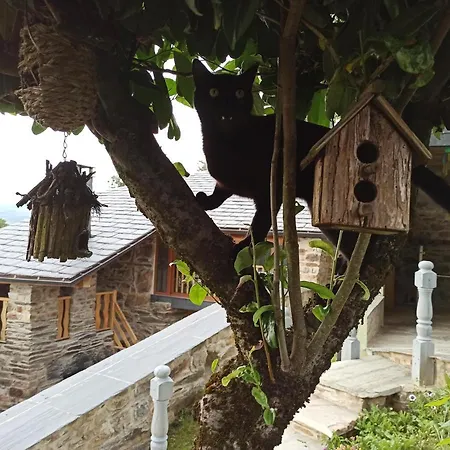 Casa Do Bico Villa *