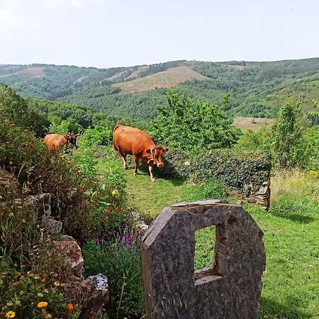 Casa Do Bico Becerreá