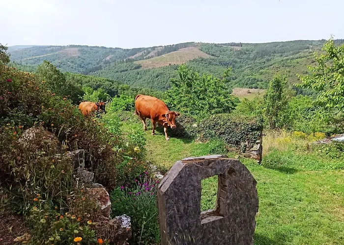 Casa Do Bico Becerreá